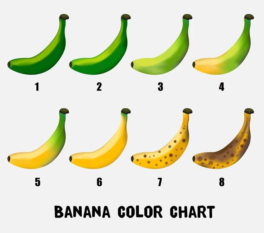 How To Preserve Freshness of Fruits?